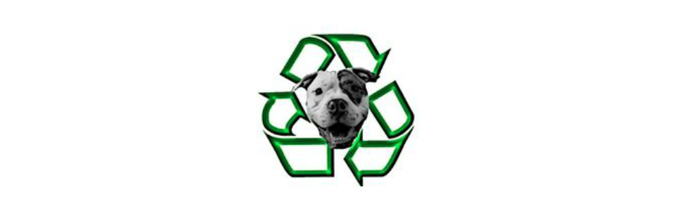 Bully sales breed rescue
